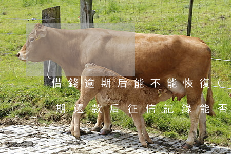借錢逾期后能不能恢復(fù)征信記錄，逾期還款后，征信記錄能否恢復(fù)正常？